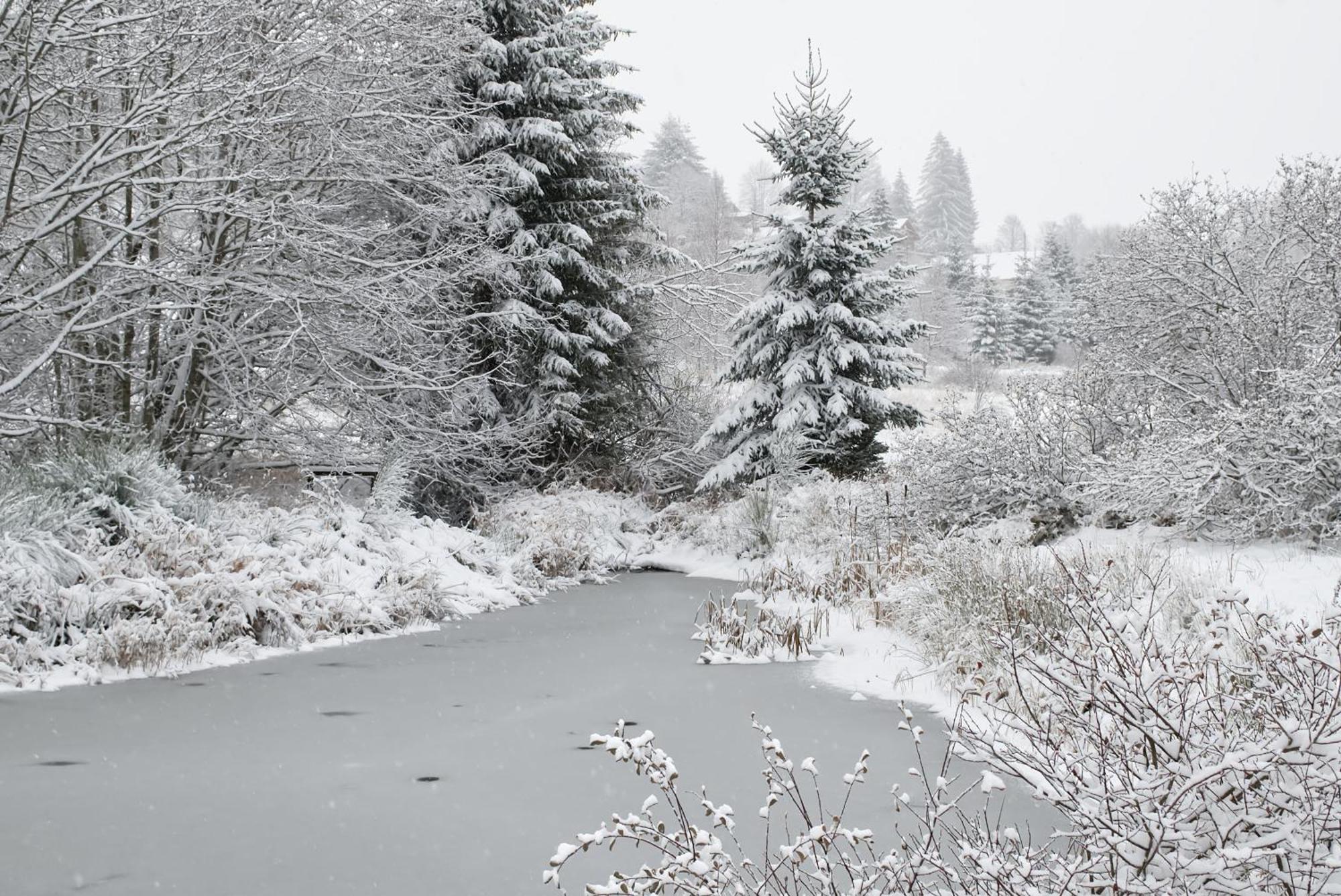 Roulotte Du Pere Noel Holiday home Ban-sur-Meurthe-Clefcy